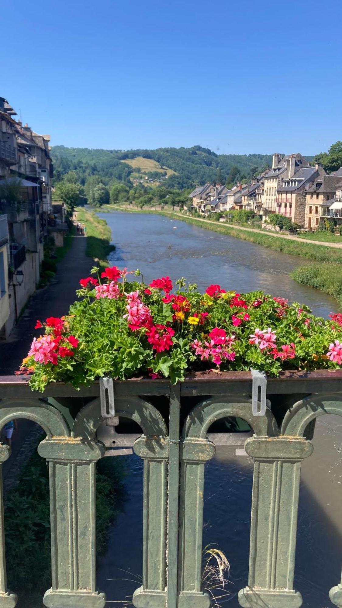 Saint-Geniez D'Olt - Residence Le Colombier Экстерьер фото
